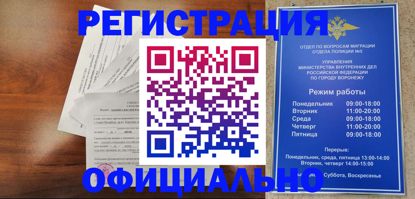 прописка поиск в Шатуре